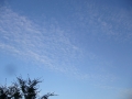 P1000274kleiner.JPG