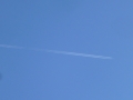 P1000285kleiner.JPG