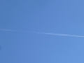 P1000286kleiner.JPG